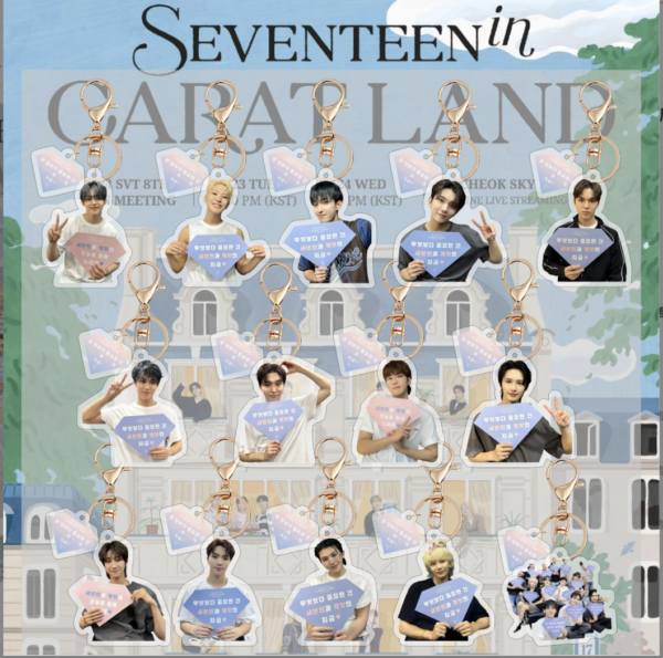 14pcs/set seventeen in carat land keychain free shipping