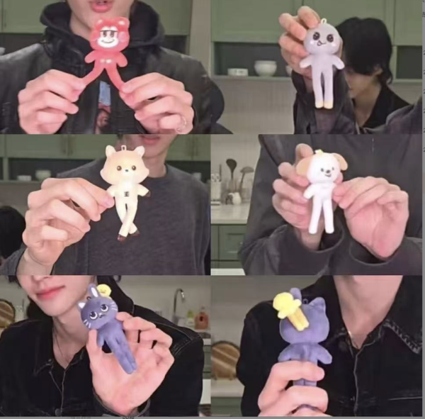 6pcs/set riize cartoon plush toy keychain free shipping