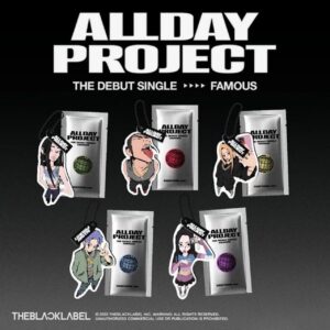 5pcs/set allday project keychain free shipping