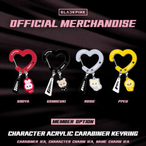 4pcs/set blackpink keychain free shipping