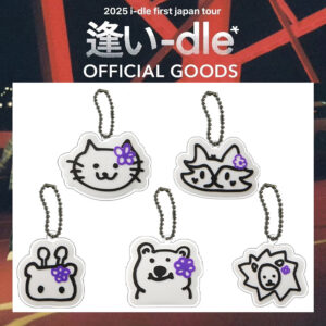 5pcs/set i-del keychain free shipping