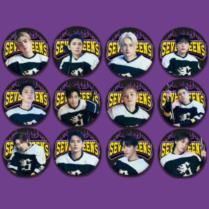 12pcs/set seventeen members brooch free shipping