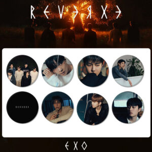 8pcs/set exo brooch free shipping