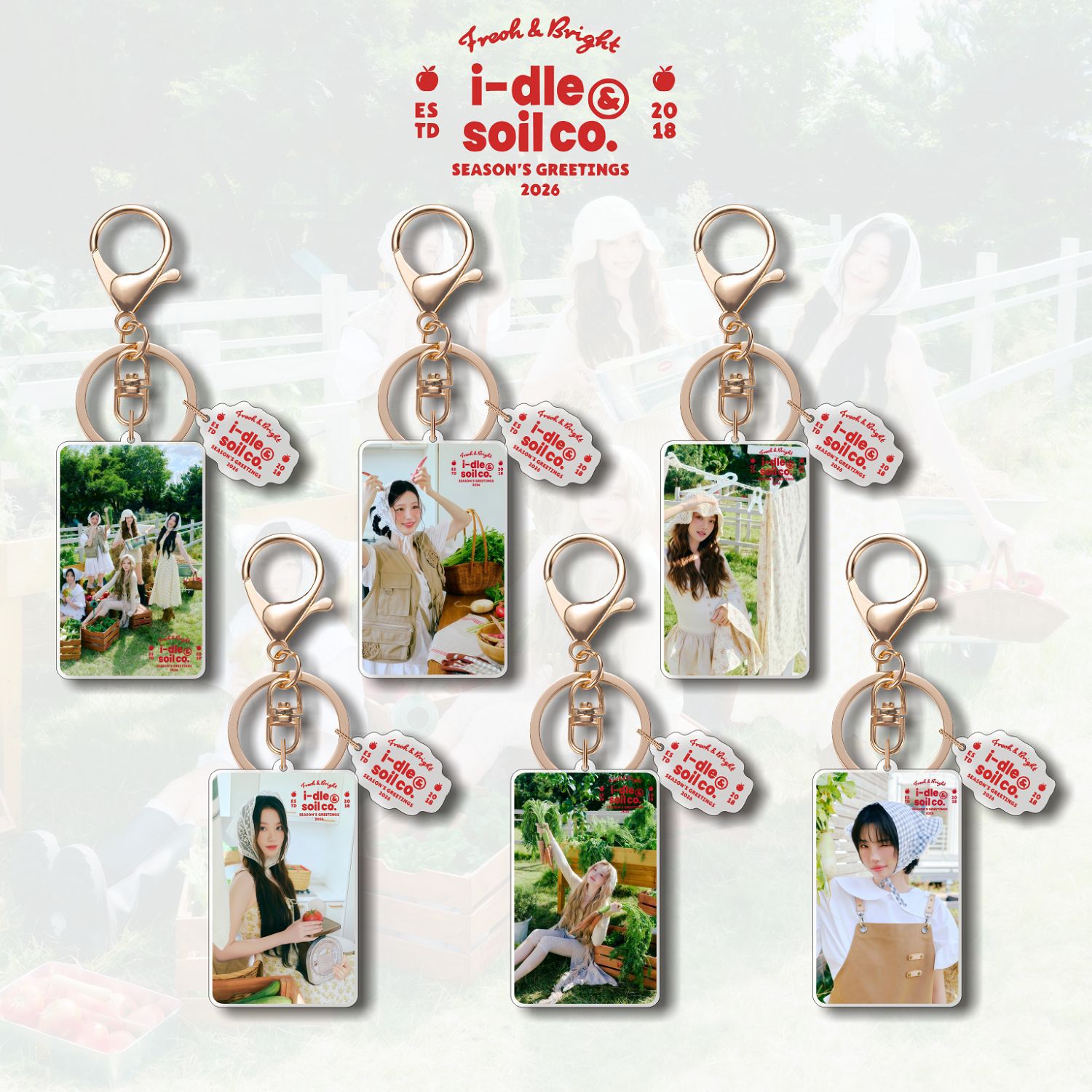 6pcs/set i-dle keychain free shipping