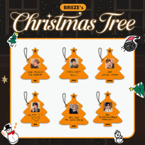 6pcs/set riize cartoon keychain free shipping