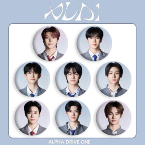 8pcs/set ald1 brooch free shipping