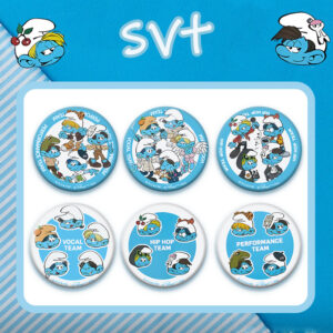6pcs/set seventeen brooch free shipping